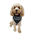 My Humans are Getting Married! Dog Wedding Bandana - Wedding Bandanas from . at DoggyTopia