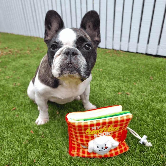 My Lunchbox Nose Work Book Toy - Foraging Toy from . at DoggyTopia