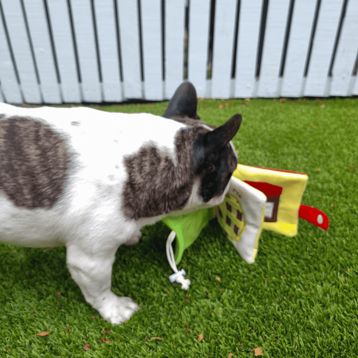 My Lunchbox Nose Work Book Toy - Foraging Toy from . at DoggyTopia