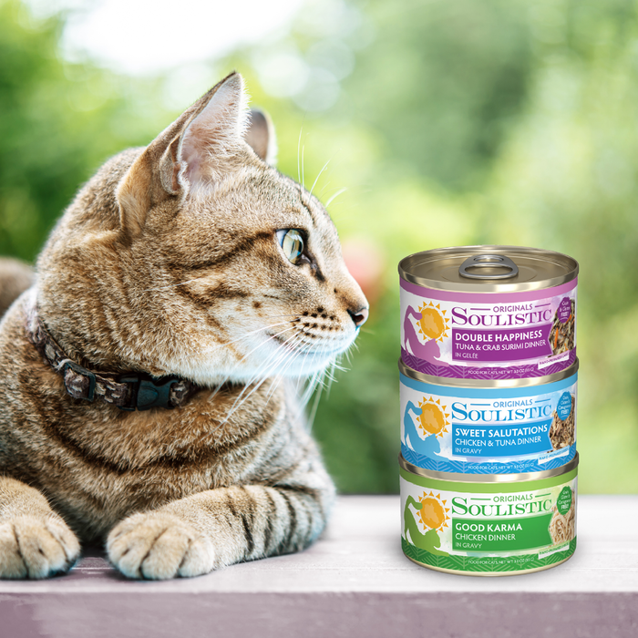 A tabby cat sits beside a stack of three Soulistic Nautical Nirvana cat food cans, labeled Double Happiness, Sweet Salutations, and Good Karma, with a blurred green outdoor background.