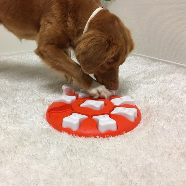 Nina Ottosson - Dog Smart - Puzzles from Nina Ottosson at DoggyTopia