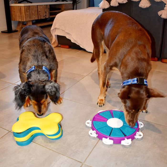 Nina Ottosson - Dog Twister - Puzzles from Nina Ottosson at DoggyTopia