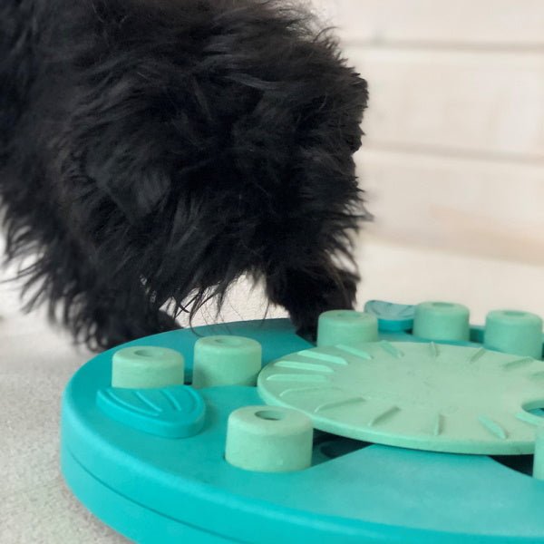 Nina Ottosson - Dog Worker Composite Green - Puzzles from Nina Ottosson at DoggyTopia