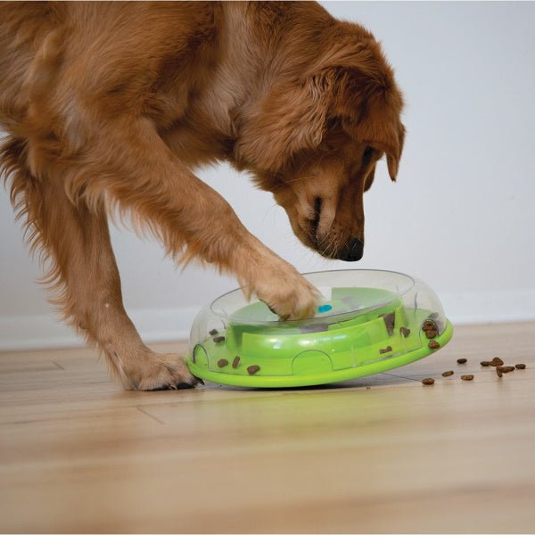 Nina Ottosson - Wobble Bowl - Puzzles from Nina Ottosson at DoggyTopia