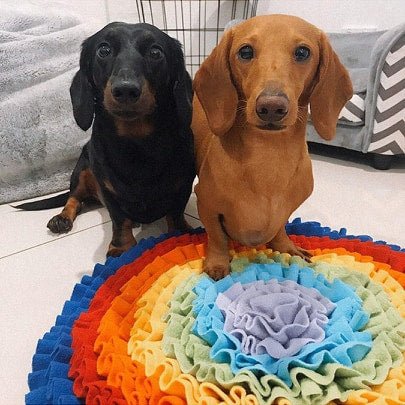 Over The Rainbow Snuffle Mat - Snuffle Mats from . at DoggyTopia