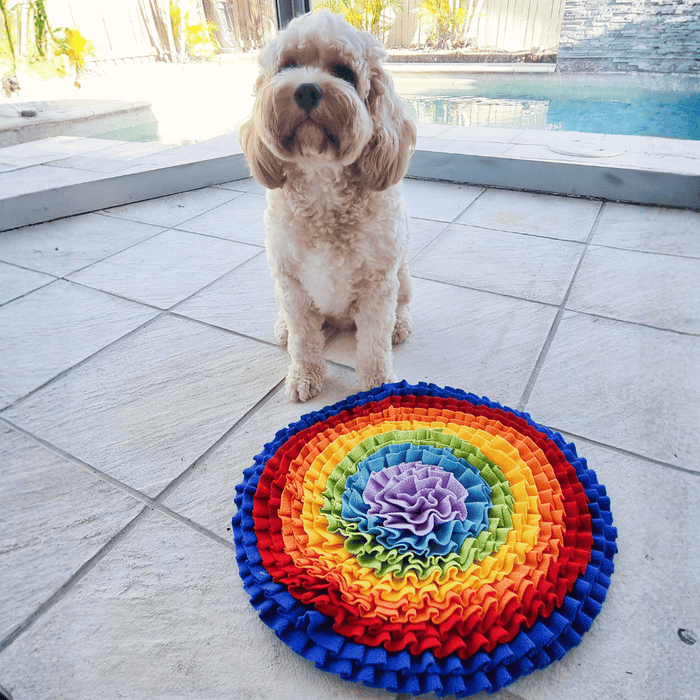 Over The Rainbow Snuffle Mat