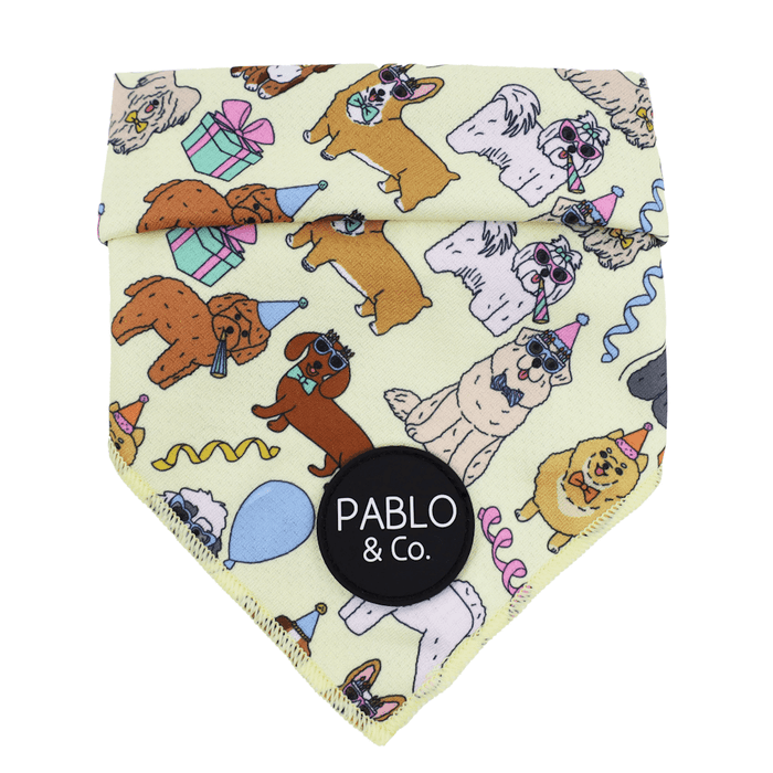 Pablo & Co Party Dawgs Bandana - Bandanas from Pablo & Co at DoggyTopia