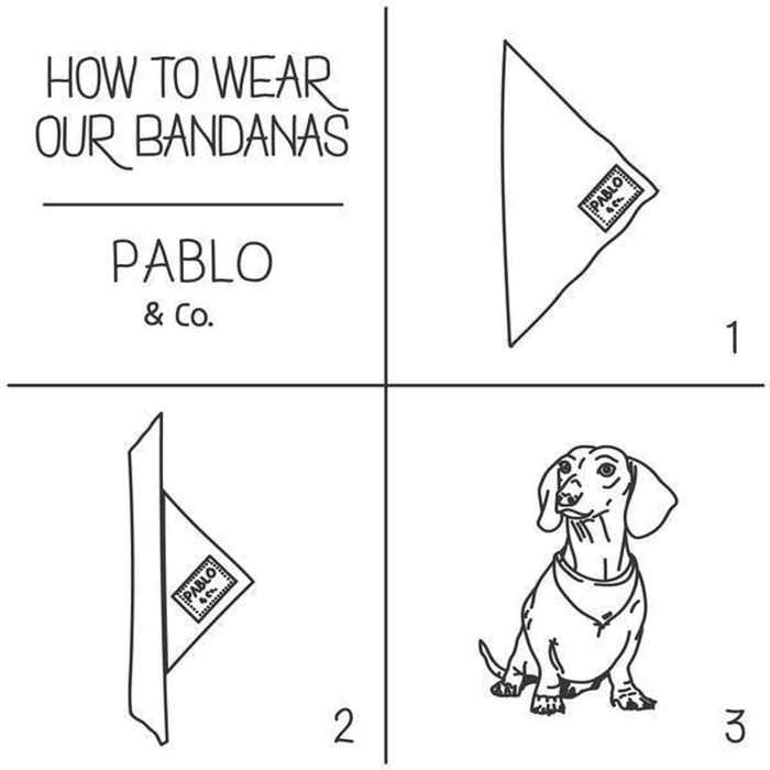 Pablo & Co Party Dawgs Bandana - Bandanas from Pablo & Co at DoggyTopia