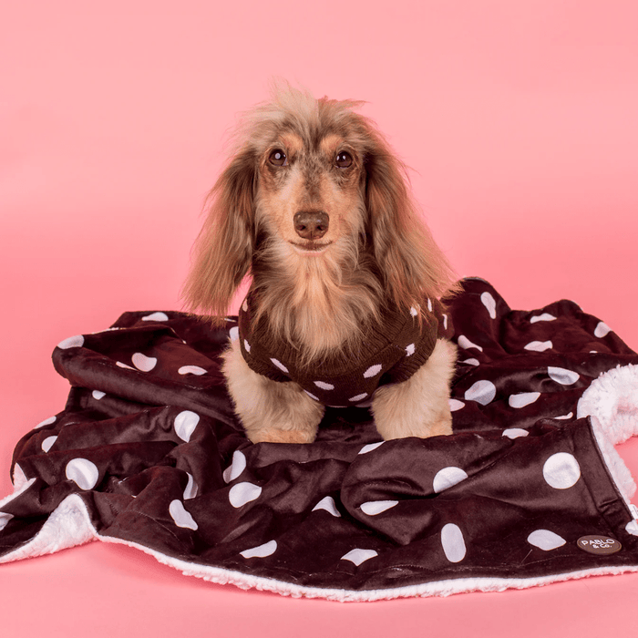 Pablo & Co Polka Dots Dog Blanket - Blankets from Pablo & Co at DoggyTopia