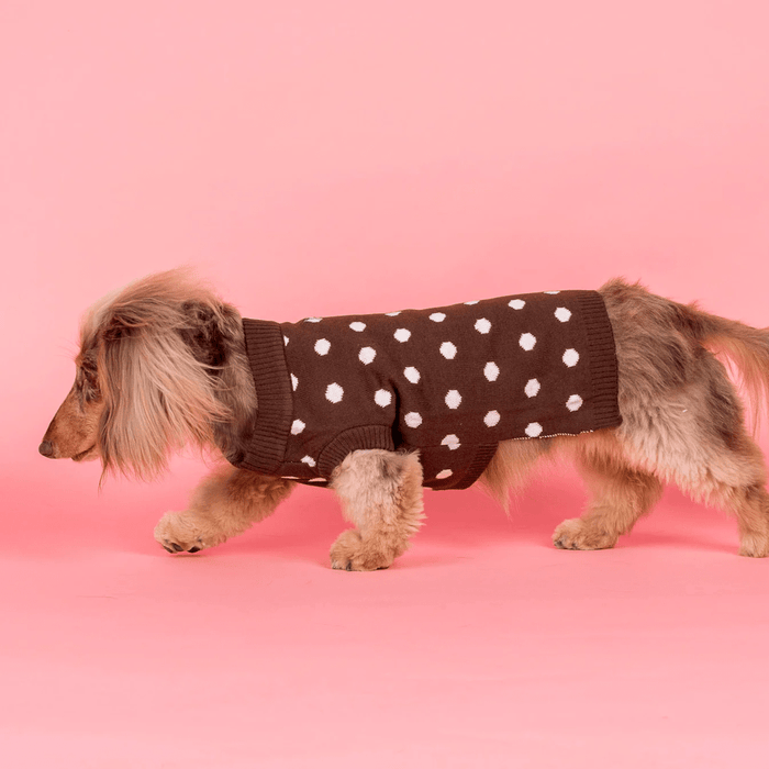 Pablo & Co Polka Dots Sweater - Knit Jumpers from Pablo & Co at DoggyTopia