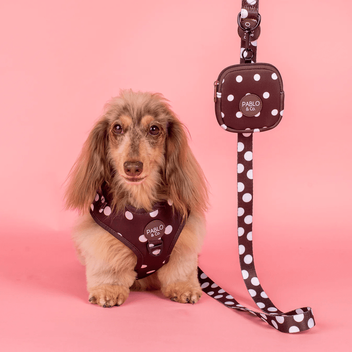 Pablo & Co Polka Dots Treat Pouch - Treat Pouchs from Pablo & Co at DoggyTopia