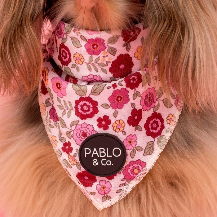Pablo & Co Primrose Dog Bandana - Bandanas from Pablo & Co at DoggyTopia