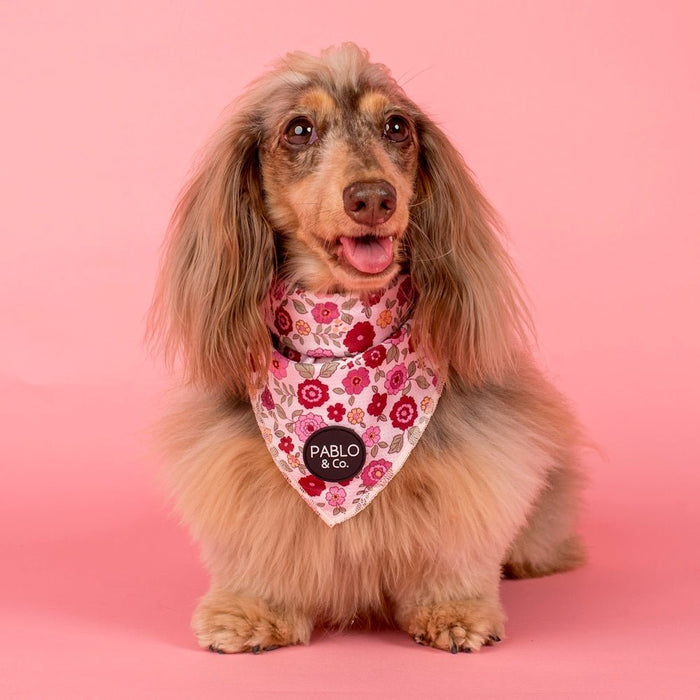 Pablo & Co Primrose Dog Bandana - Bandanas from Pablo & Co at DoggyTopia