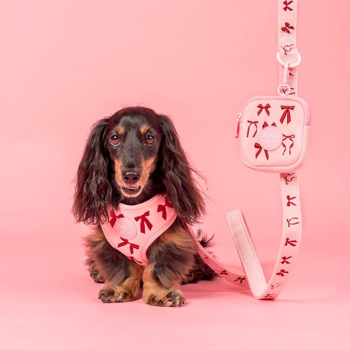 Pablo & Co Velvet Blush Bows Treat Pouch - Treat Pouchs from Pablo & Co at DoggyTopia