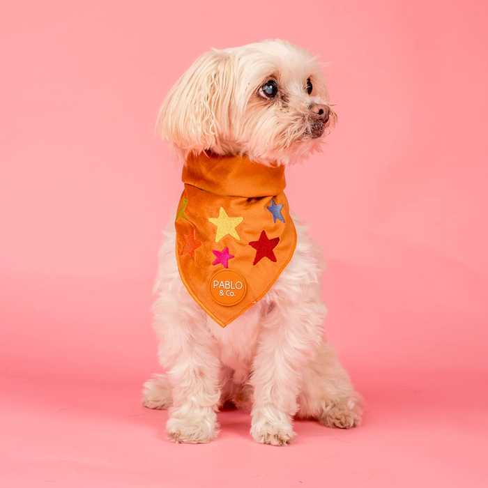 Pablo & Co You're A Star Bandana Velvet