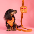 Pablo & Co You're A Star Treat Pouch Velvet