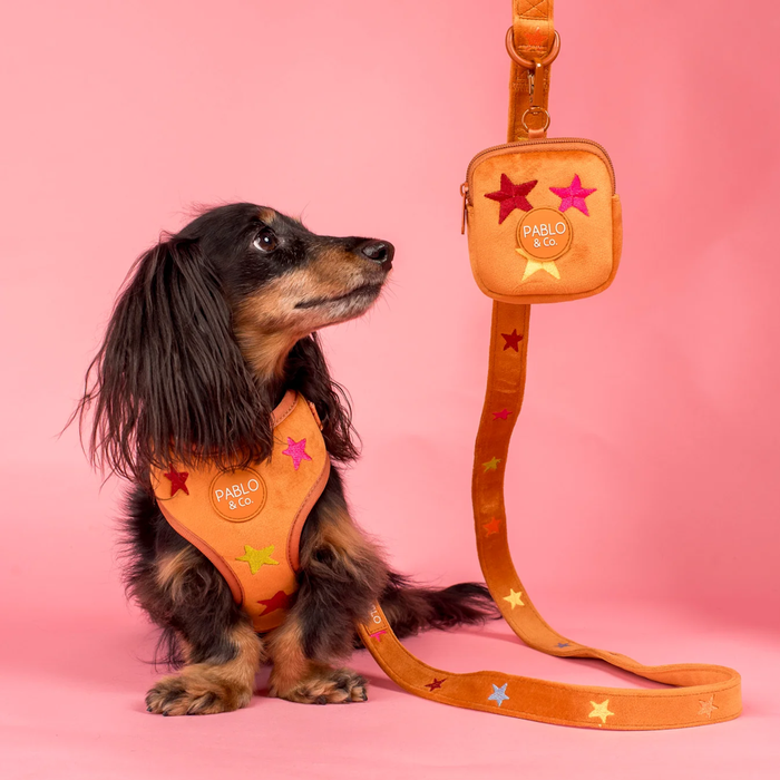 Pablo & Co You're A Star Treat Pouch Velvet