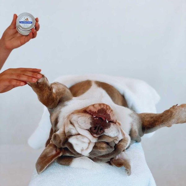 Paw & Nose Soothe - Grooming from Australian Animal Oral Care at DoggyTopia