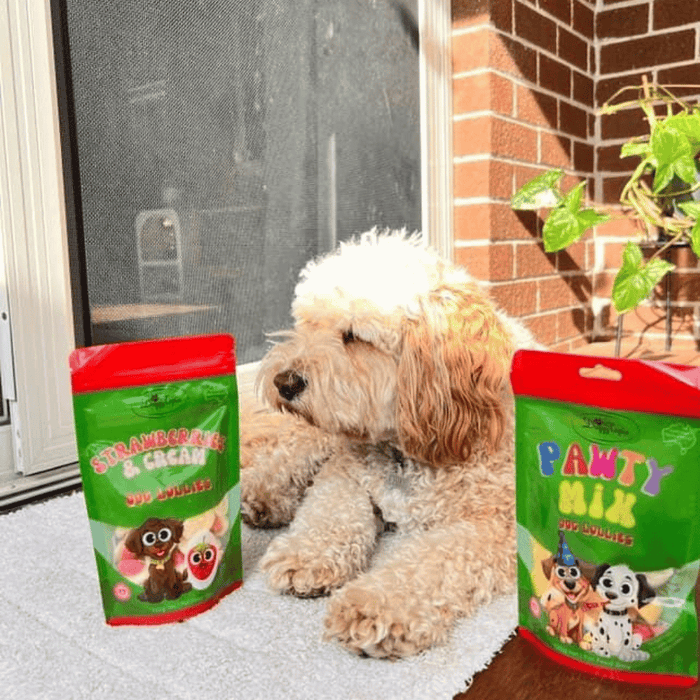 Pawty Mix Dog Lollies - Lollies from DoggyTopia at DoggyTopia