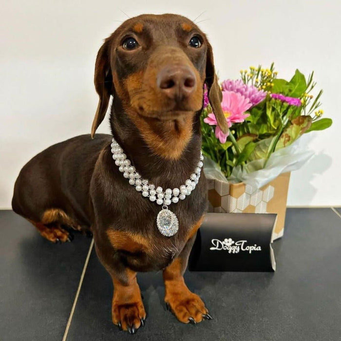 Pearl And Oval Jewel Pendant Dog Necklace - Dog Necklaces from Sale at DoggyTopia