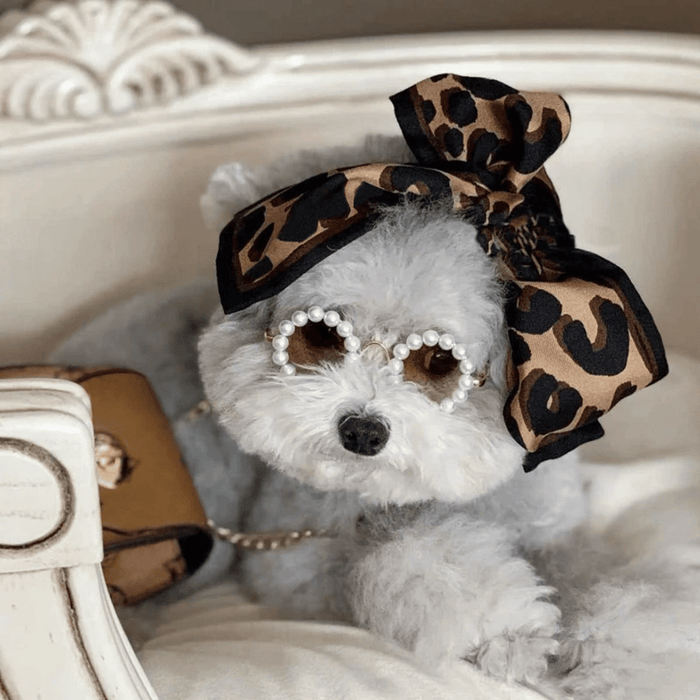 Pearl Dog Sunglasses - Sunglasses from . at DoggyTopia