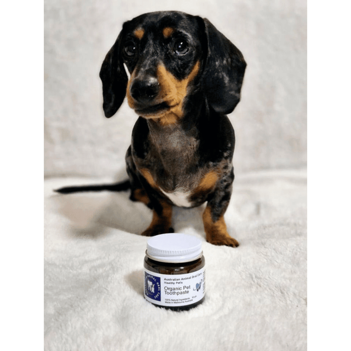 Pet Toothpaste - Oral Care from Australian Animal Oral Care at DoggyTopia