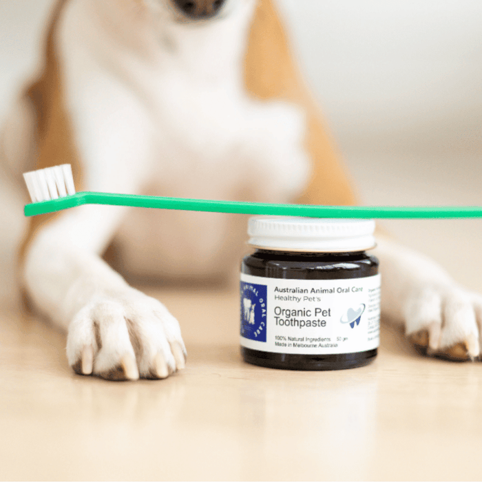 Pet Toothpaste - Oral Care from Australian Animal Oral Care at DoggyTopia