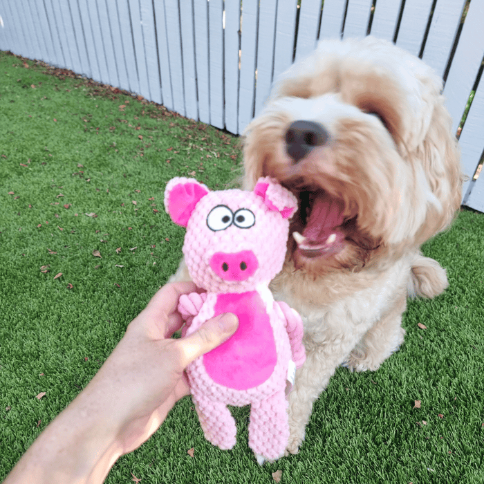 Phebe Pig Rope Corduroy Dog Toy - Plush and Rope Toys from . at DoggyTopia