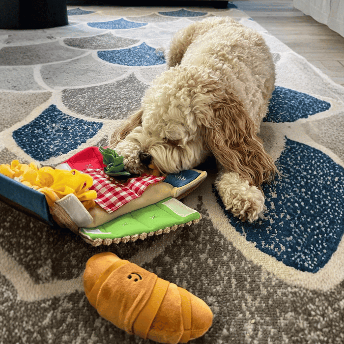 Picnic Basket Nose Work Dog Toy