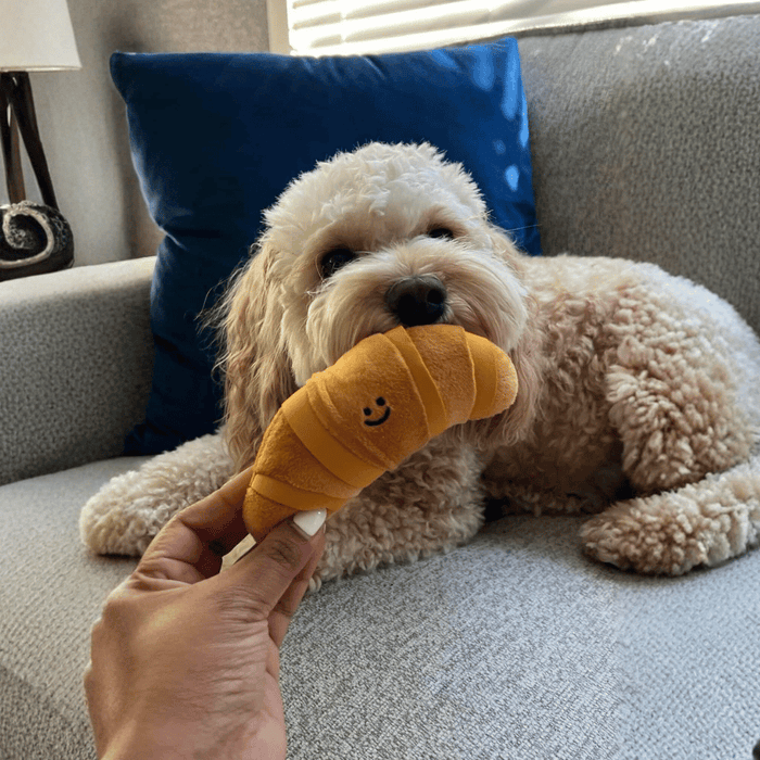 Picnic Basket Nose Work Dog Toy