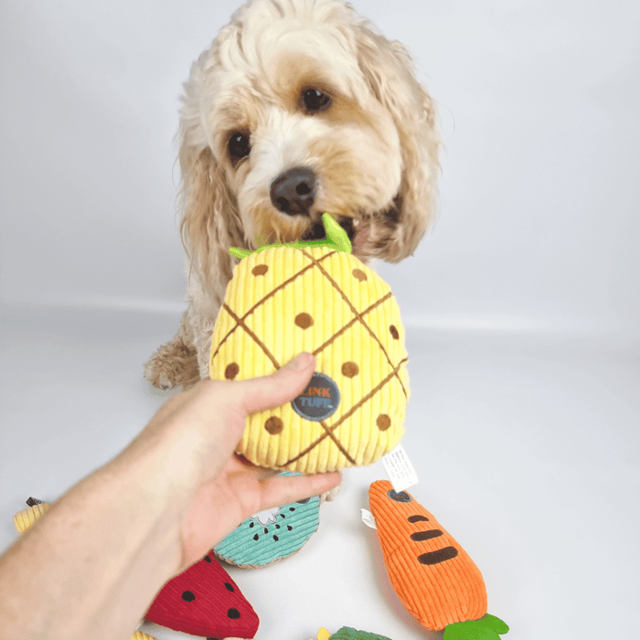Pineapple Plush Dog Toy - Plush Toys from . at DoggyTopia