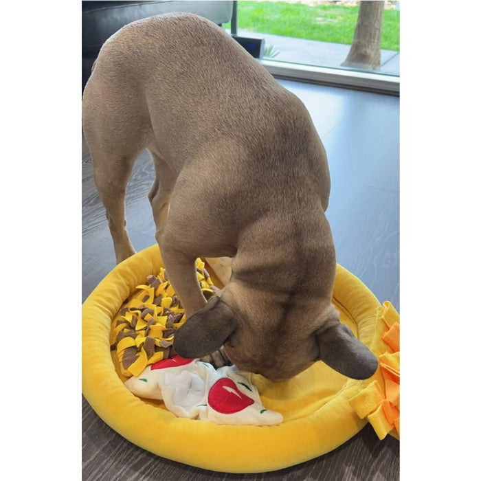 Pizza Snuffle Mat - Snuffle Mats from . at DoggyTopia