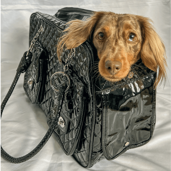 Quilted Patent Dog Carrier - Black - Dog Carriers from . at DoggyTopia