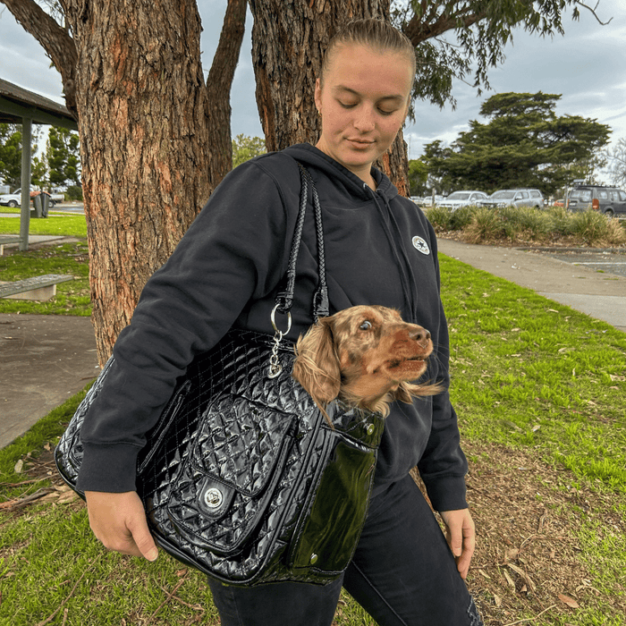 Quilted Patent Dog Carrier - Black - Dog Carriers from . at DoggyTopia