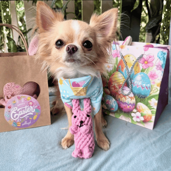 Rabbit Rope Dog Toy - Rope Toys from . at DoggyTopia
