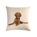 Ridgeback Lying Down Throw Cushion - Cushions from Sale at DoggyTopia