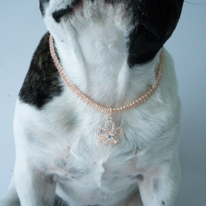 Rose Gold Diamante Flower Dog Necklace - Dog Necklaces from Sale at DoggyTopia