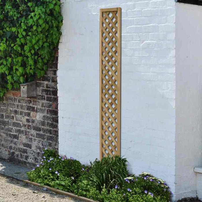 Rosemore Lattice #180 x 30cm