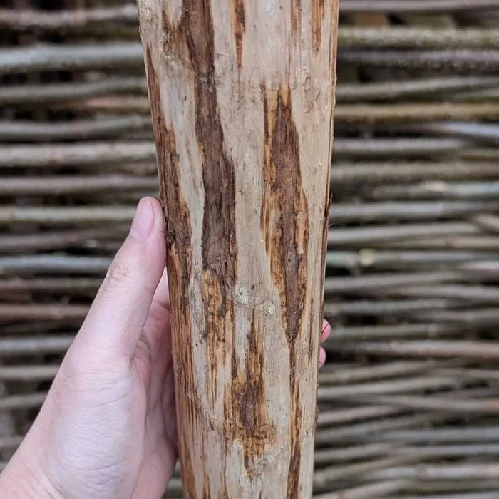 Rustic Chestnut Fence Posts for Hazel Hurdles