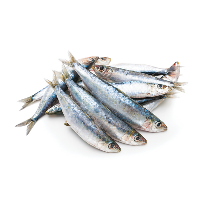 Sardines - 1 lb