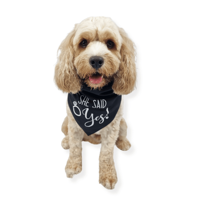 She Said Yes! Dog Wedding Bandana - Wedding Bandanas from . at DoggyTopia