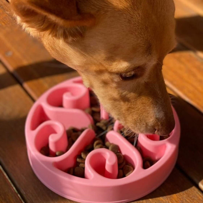 Slow Feeder Swirl Dog Bowl - Slow Feeding Bowls from . at DoggyTopia