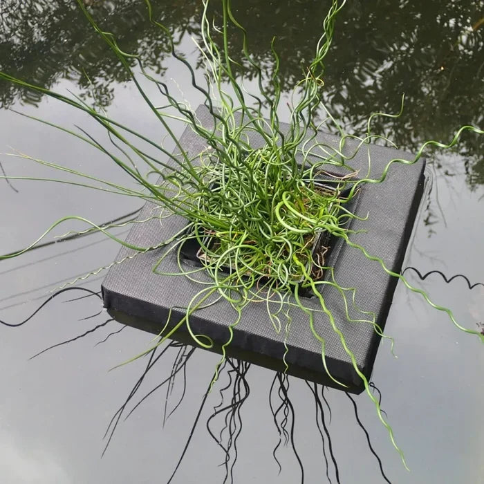Small Square Floating Basket