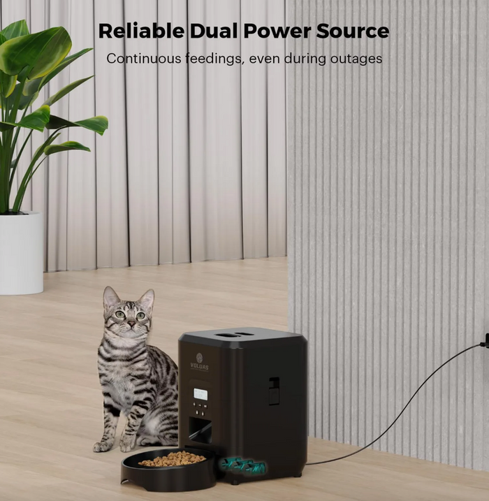 Smart Pet Feeder with Timed Portions, detail view