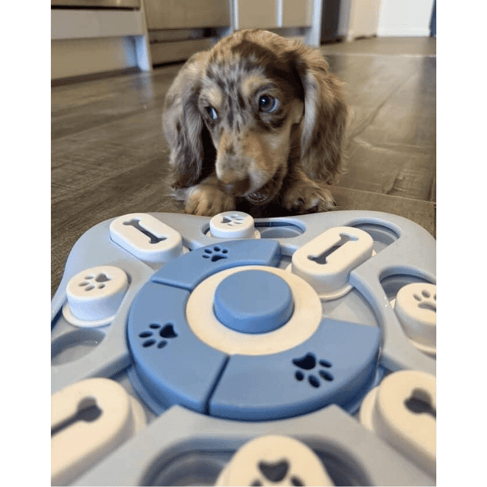 Snacker Slide and Seek Dog Puzzle - Puzzles from . at DoggyTopia