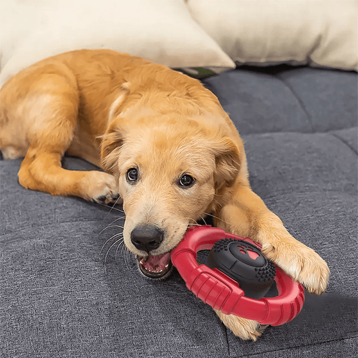Steering Wheel Dog Tough Toy - Tough Toys from . at DoggyTopia