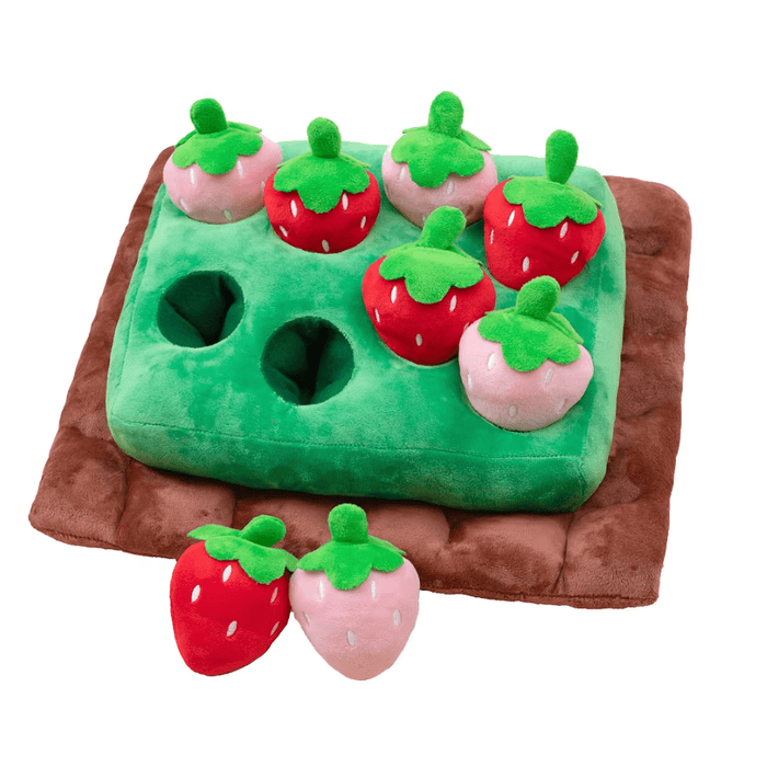Strawberry Patch Nose Work Toy - Foraging Toy from . at DoggyTopia