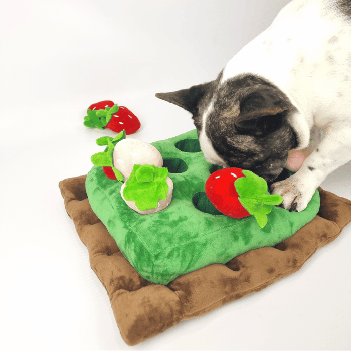 Strawberry Patch Nose Work Toy - Foraging Toy from . at DoggyTopia
