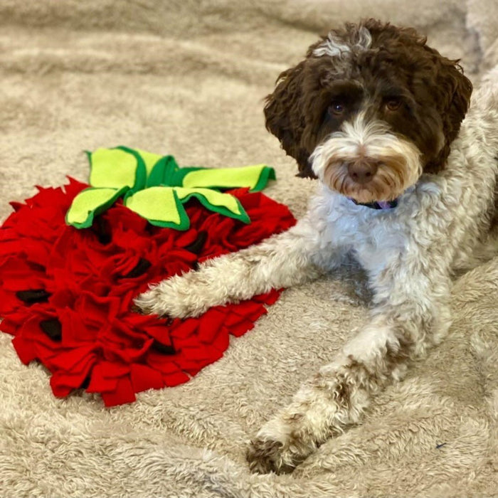 Strawberry Snuffle Mat - Snuffle Mats from . at DoggyTopia