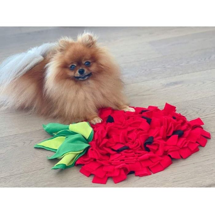 Strawberry Snuffle Mat - Snuffle Mats from . at DoggyTopia